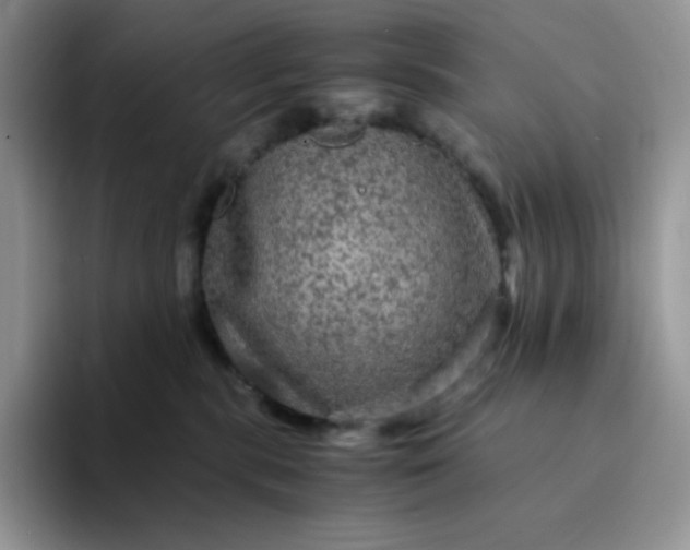 X0000094220283200711091301