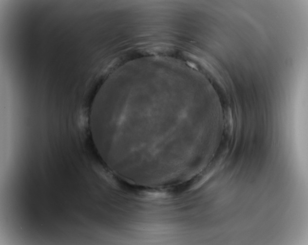 X0000094220284200711091301