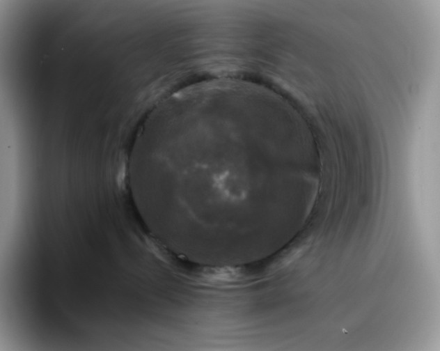 X0000094220288200711091301