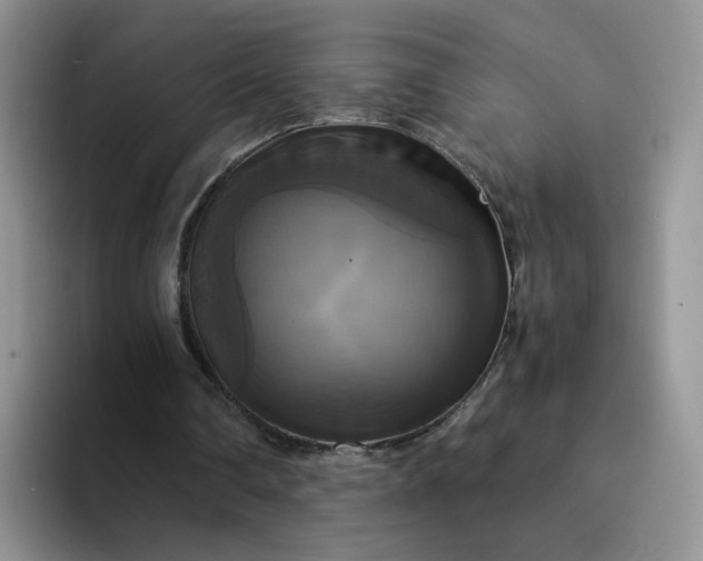 X0000094220290200711091301