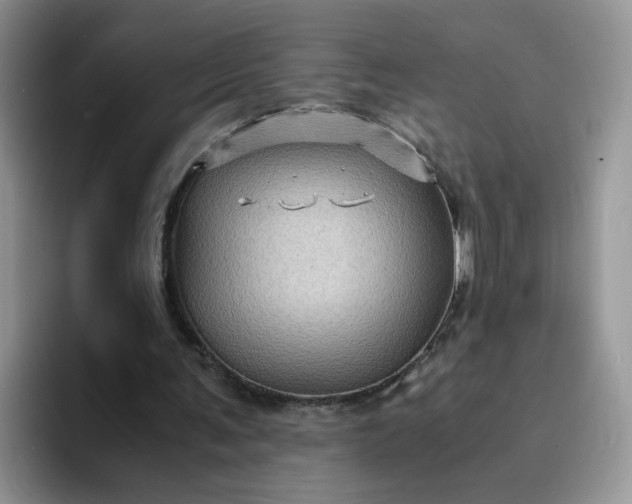 X0000094220291200711091301