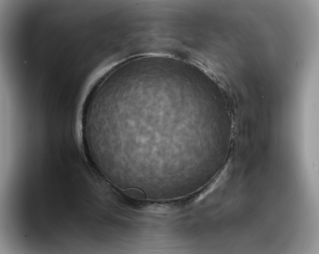 X0000094220294200711091301