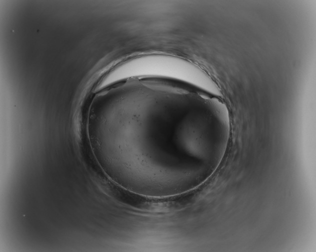 X0000094220295200711091301