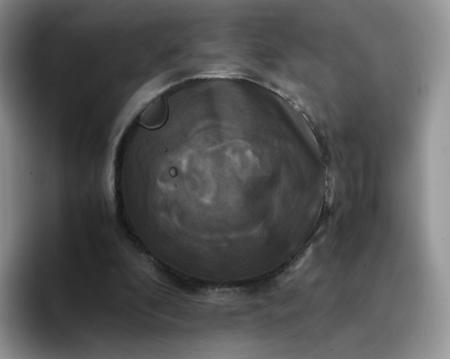 X0000094220296200711091301