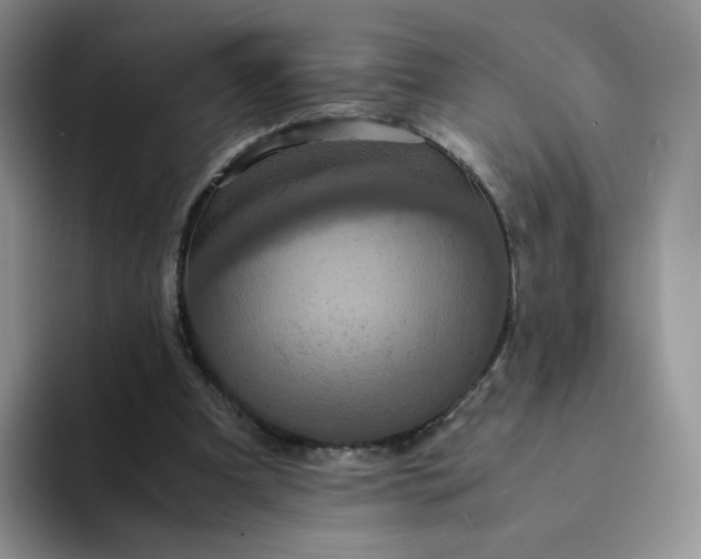 X0000094220297200711091301