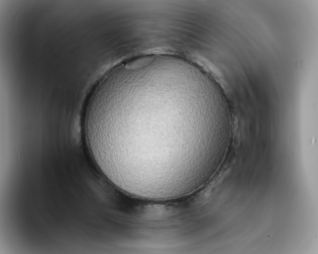 X0000094220298200711091301