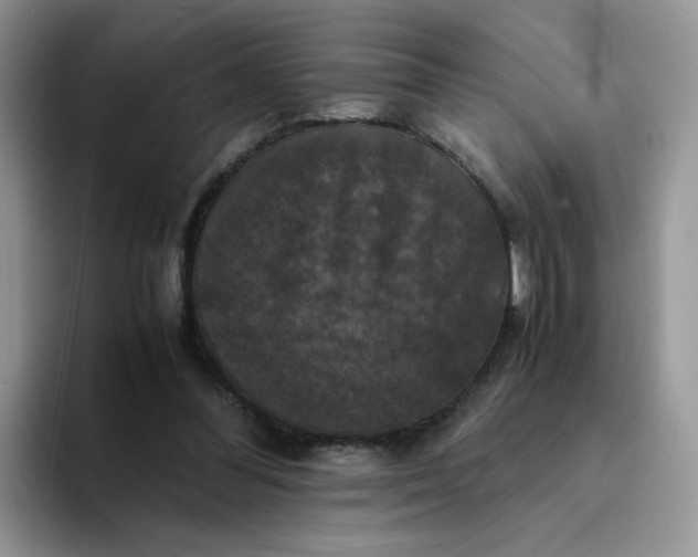 X0000094220300200711091301