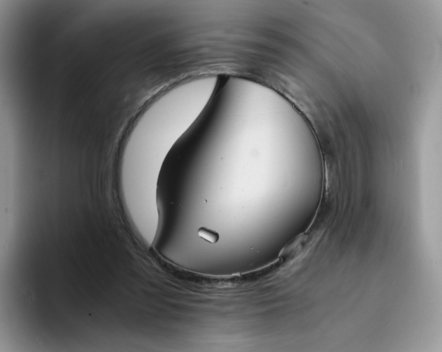 X0000094220301200711091301