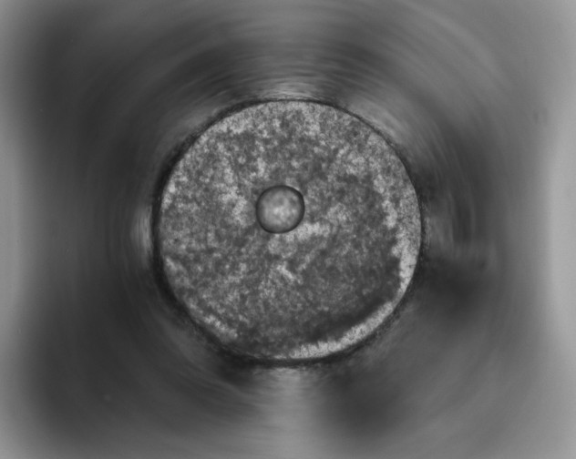 X0000094220302200711091301