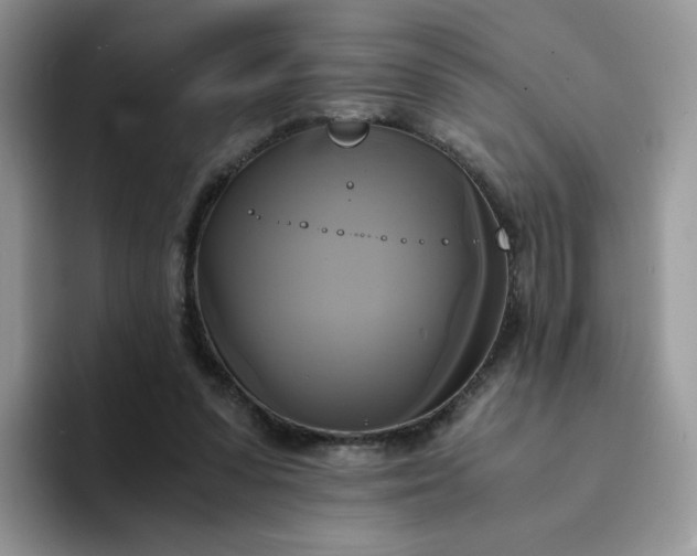 X0000094220303200711091301