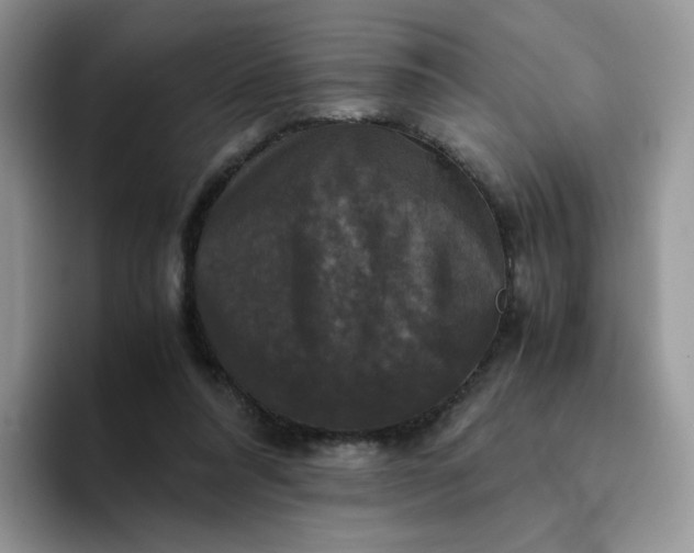 X0000094220304200711091301