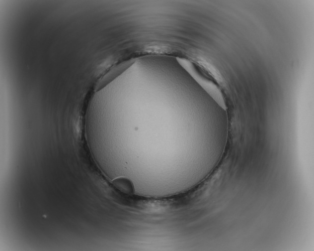 X0000094220305200711091301