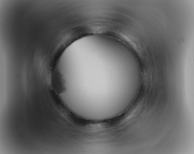 X0000094220307200711091301