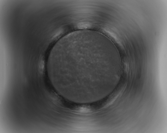 X0000094220308200711091301