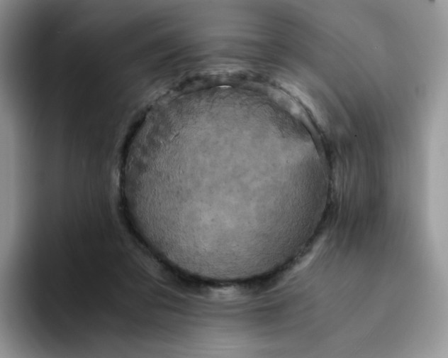 X0000094220309200711091301