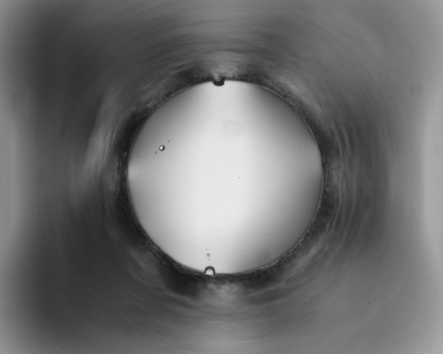 X0000094220311200711091301