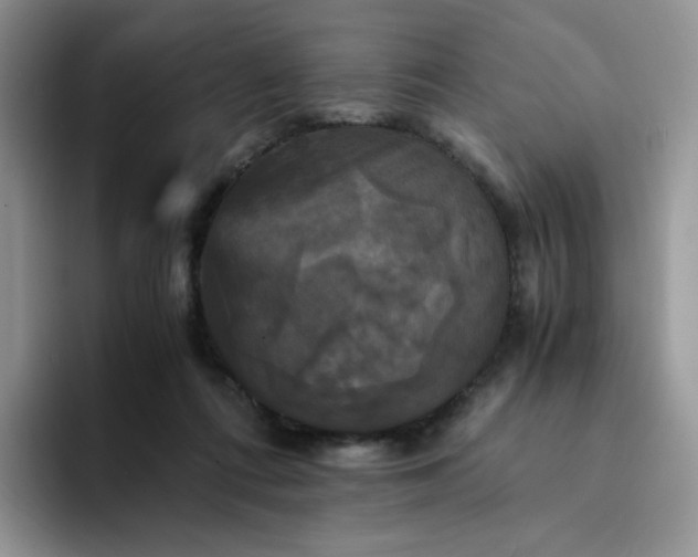 X0000094220312200711091301