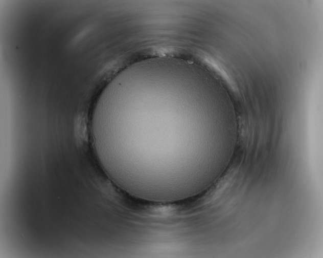 X0000094220313200711091301