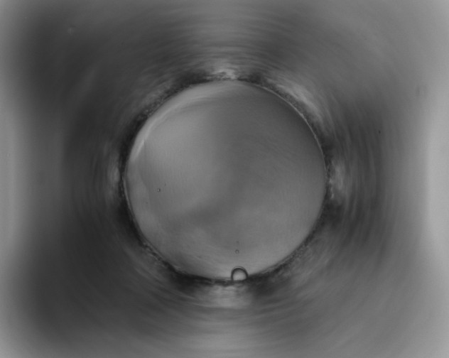 X0000094220314200711091301