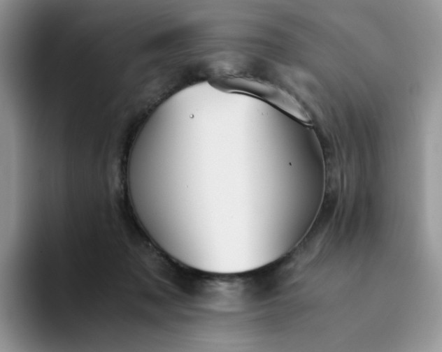 X0000094220317200711091301