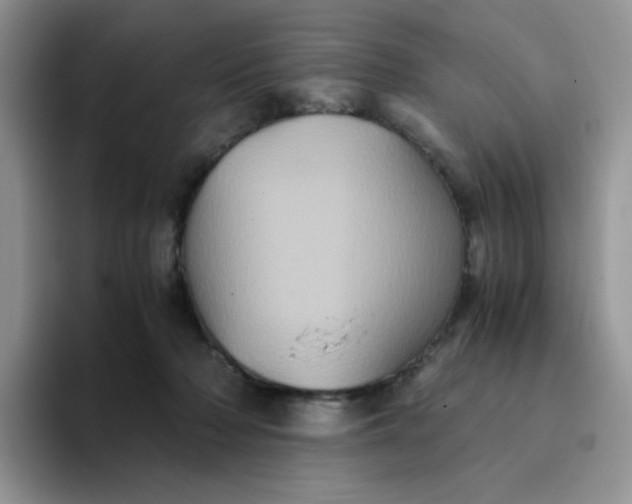 X0000094220318200711091301