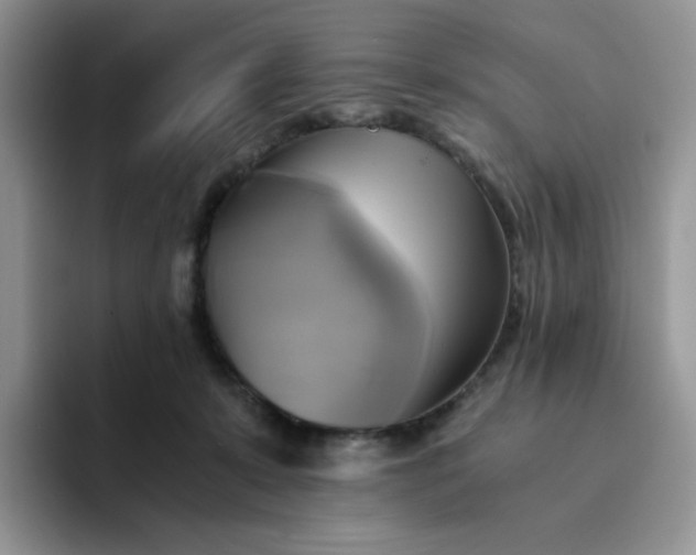 X0000094220319200711091301