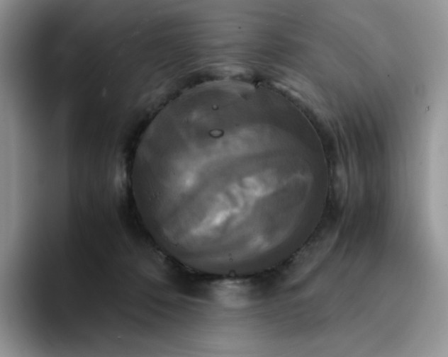 X0000094220320200711091301