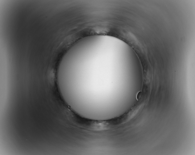 X0000094220321200711091301