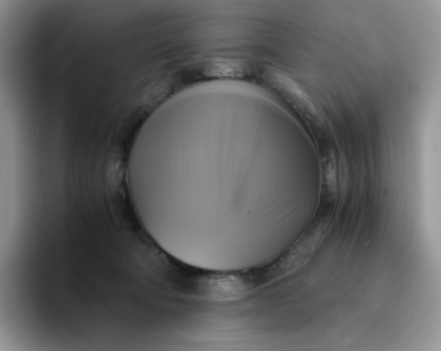 X0000094220322200711091301