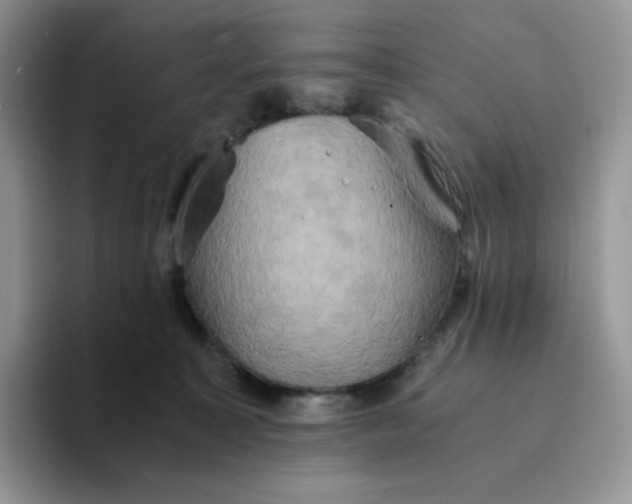 X0000094220323200711091301