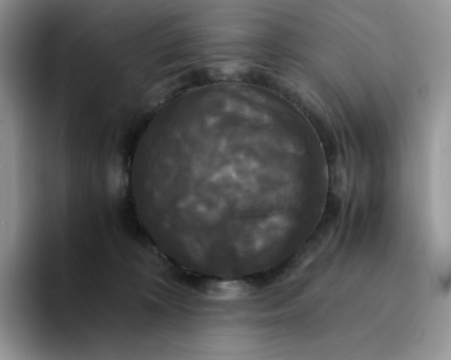 X0000094220324200711091301