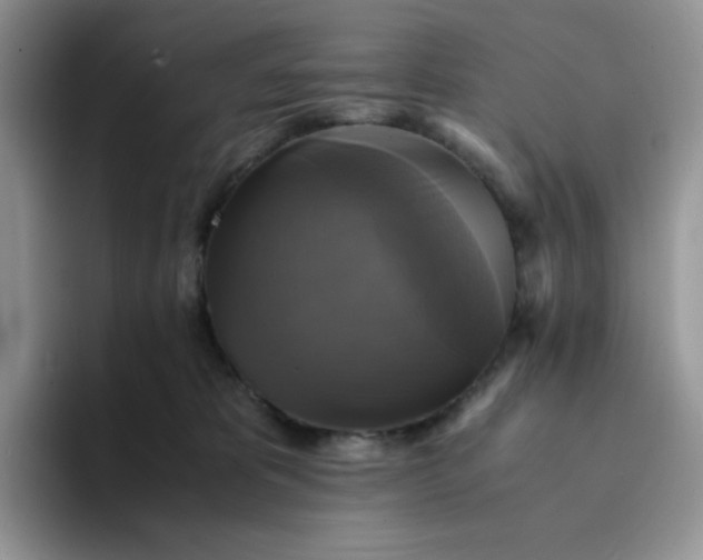 X0000094220325200711091301