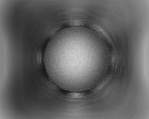 X0000094220326200711091301