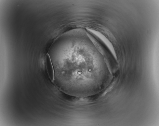 X0000094220329200711091300