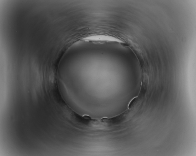 X0000094220331200711091300