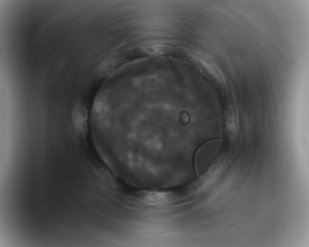 X0000094220332200711091300