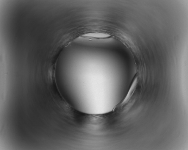 X0000094220333200711091300