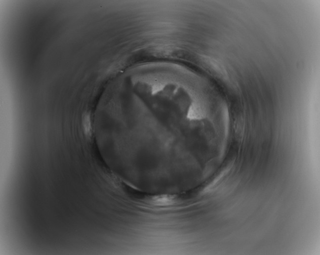 X0000094220335200711091300