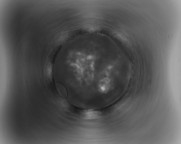 X0000094220336200711091300