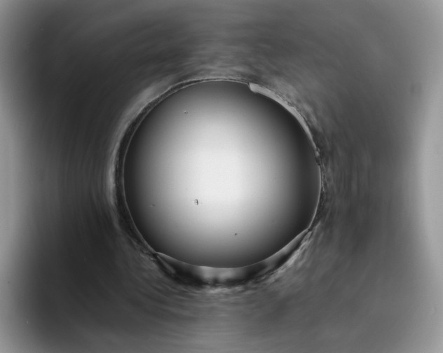 X0000094220340200711091300