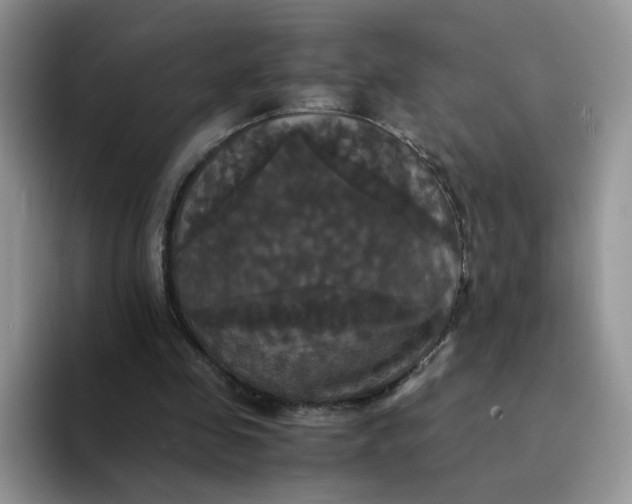 X0000094220341200711091300