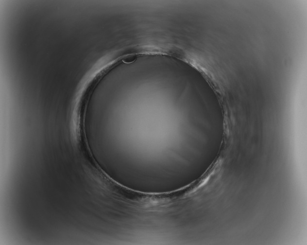 X0000094220343200711091300