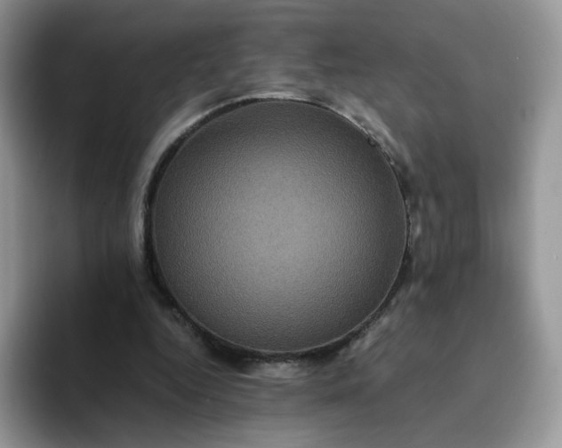 X0000094220344200711091300