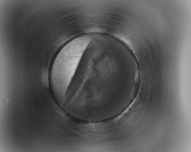 X0000094220345200711091300