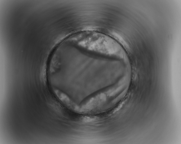 X0000094220346200711091300