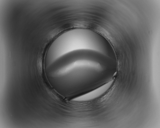 X0000094220349200711091300