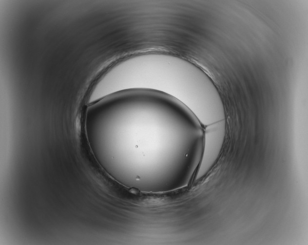 X0000094220350200711091300