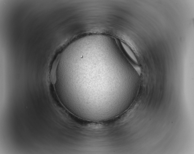 X0000094220354200711091300