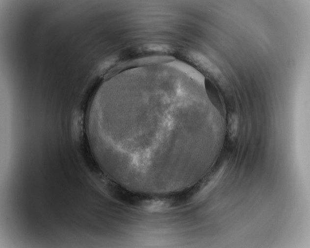 X0000094220356200711091300