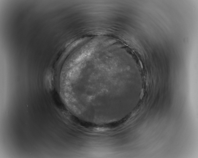 X0000094220360200711091300